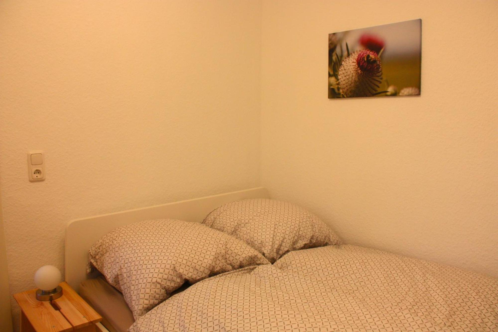 Harzhaus Drei Hexen * Tanne